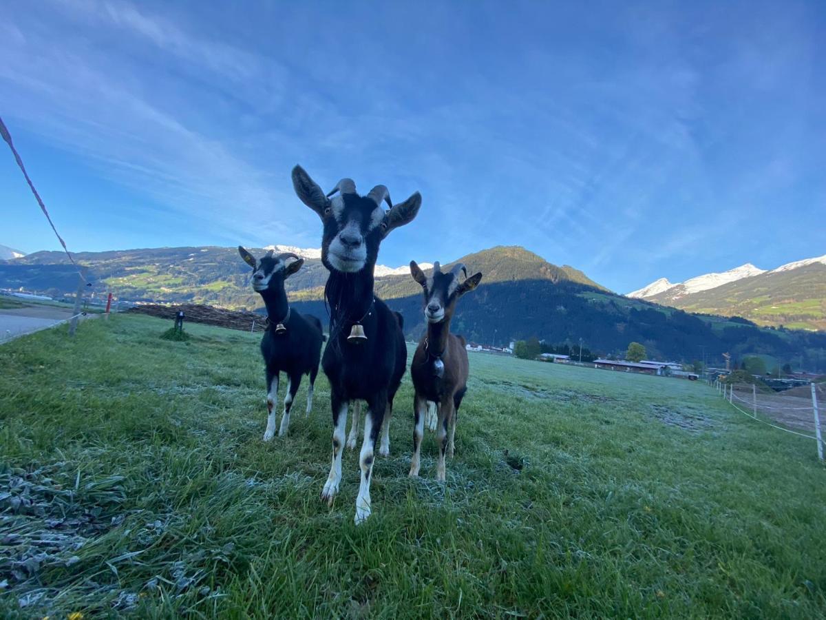 Hotel Standlhof Zillertal Uderns Ngoại thất bức ảnh